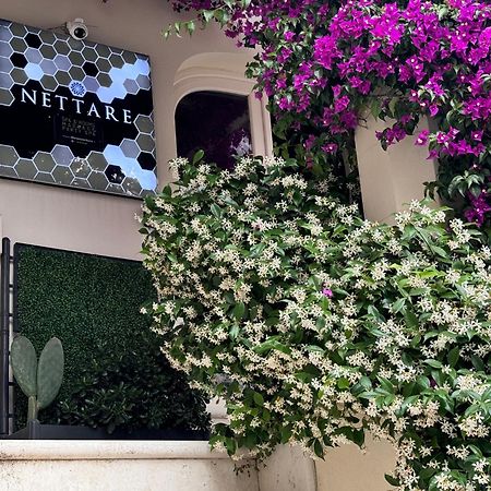 ホテル Dimora Nettare ブリンディジ エクステリア 写真